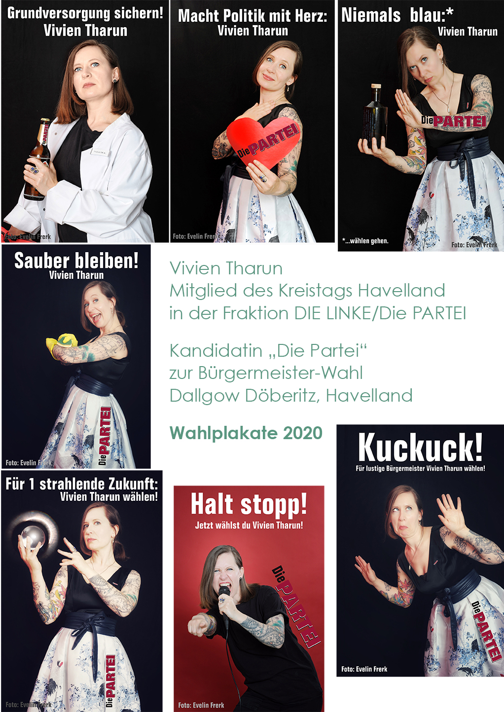 Wahlplakate 