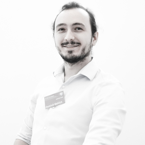 Dominik Mehlich