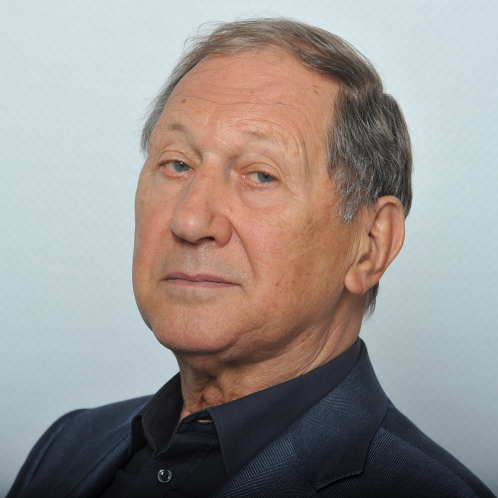 Prof. Dr. Helmut Kramer
