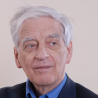 Woldemar Muischneek